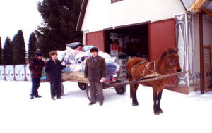 HorseDeliveryWinter.jpg